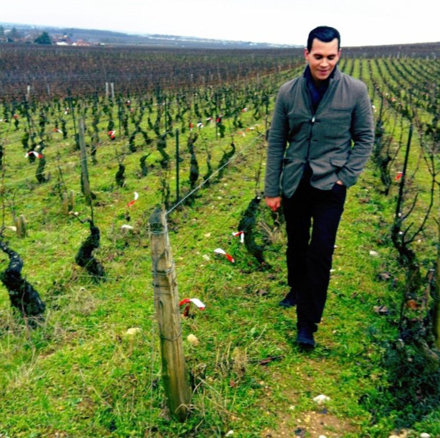 Cruz walking the Richebourg vineyards in Burgundy