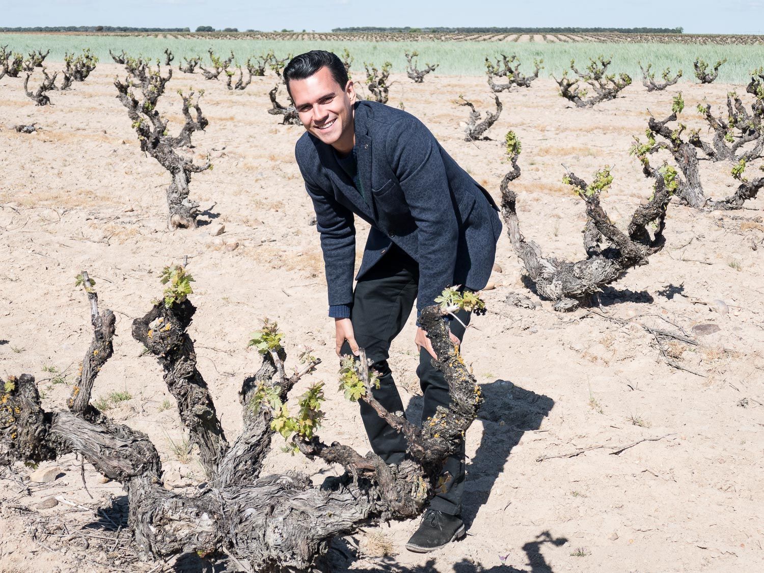 Cruz among old bush vines in Toro